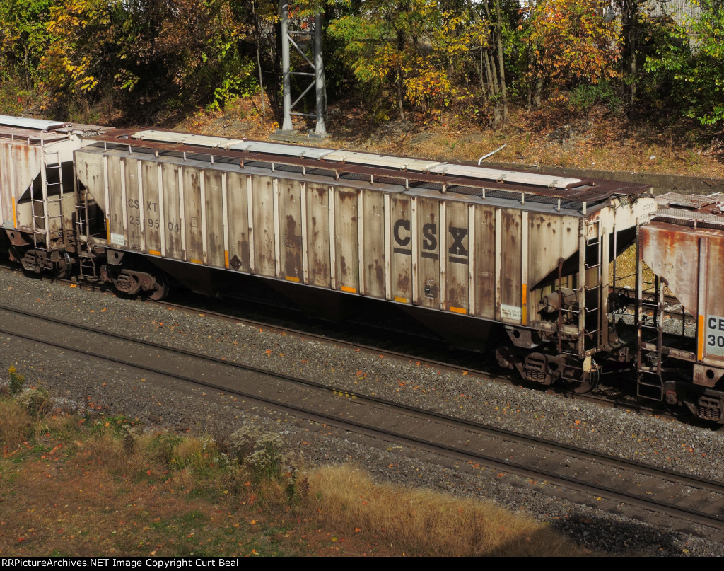 CSX 259504